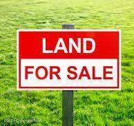 Land for sale photo