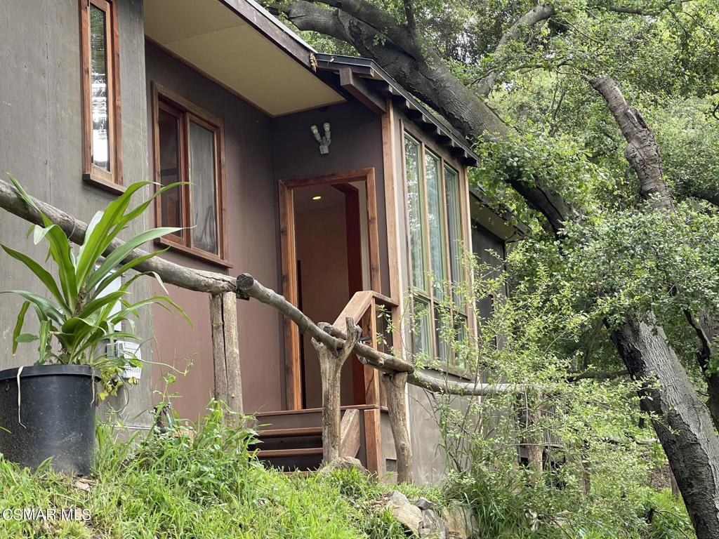 a view of a house with a small yard plants and large tree