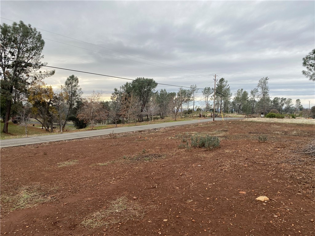 a view of a field with trees in background