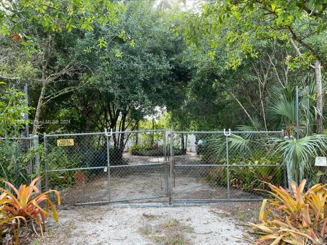 a backyard of a house with lots of plants and tree