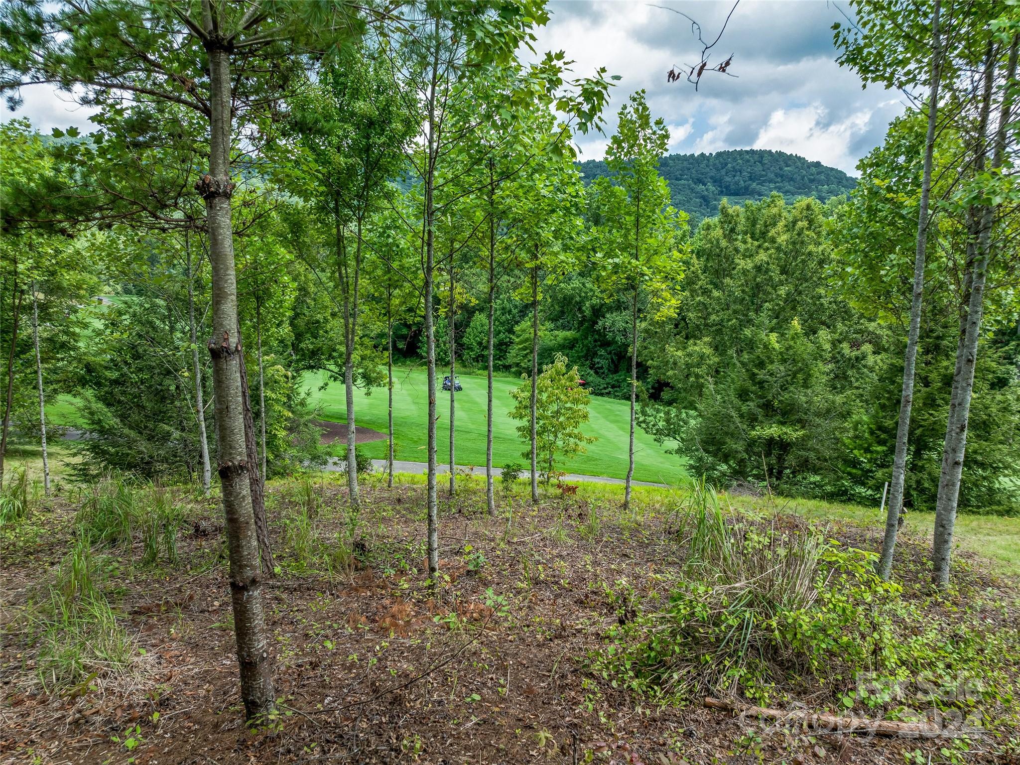 a view of a garden