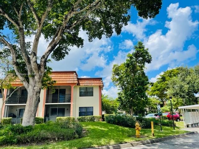 front view of a house with a tree