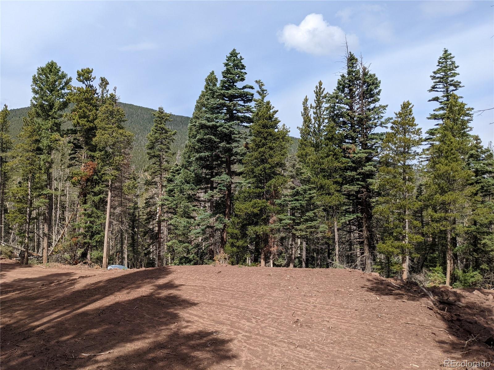 a view of road and trees