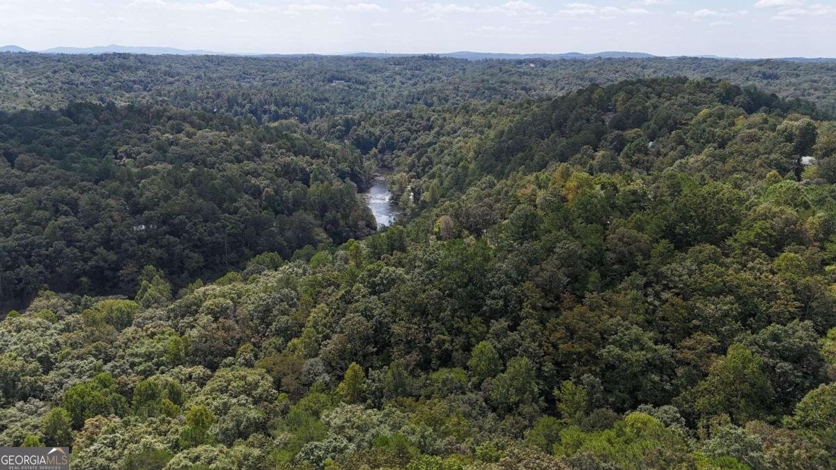 an aerial view of forest