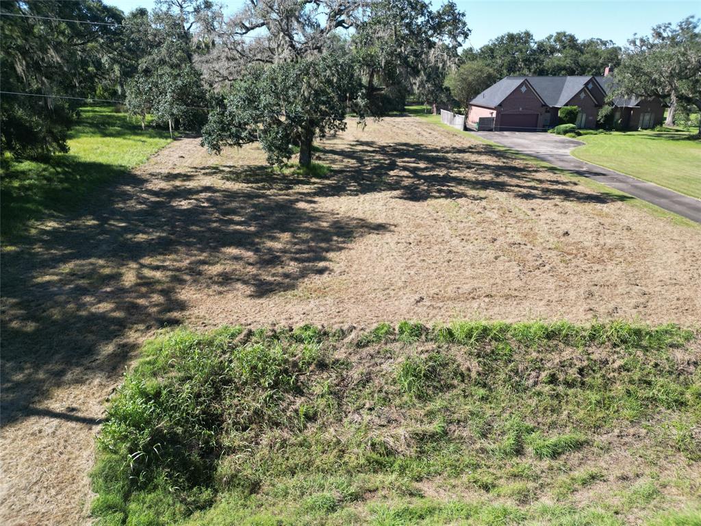 a view of dirt yard with a large tree