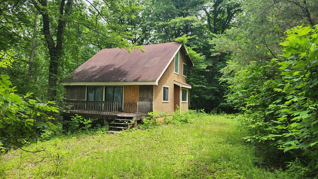 a backyard of a house with lawn chairs plants and large tree