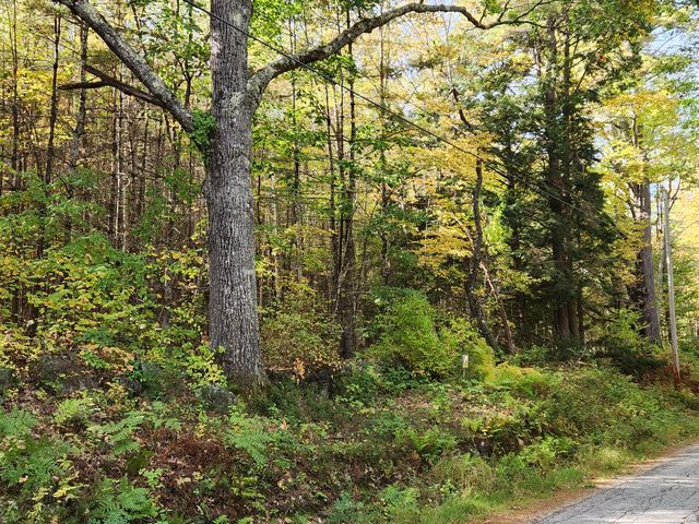 $85,000 | Lot 12 Bear Pond Road | Waterford