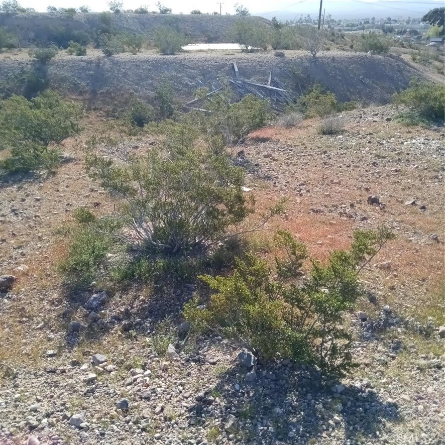 a view of a dry yard with lots of green space