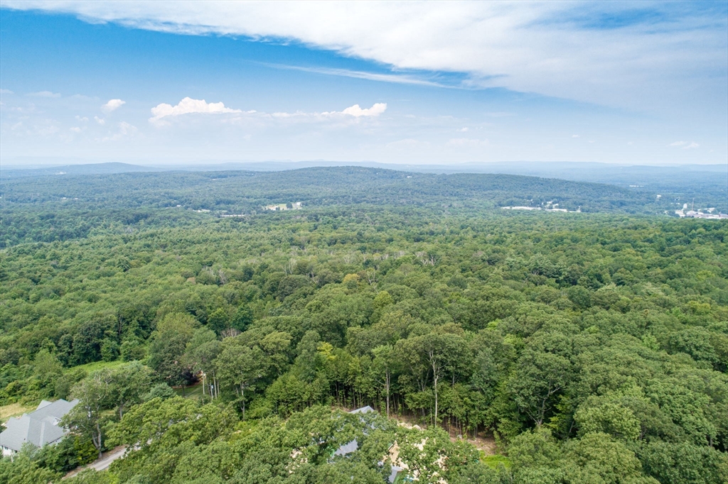 a view of a big yard with lots of green space