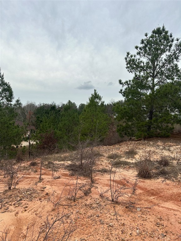 a view of a yard with a tree