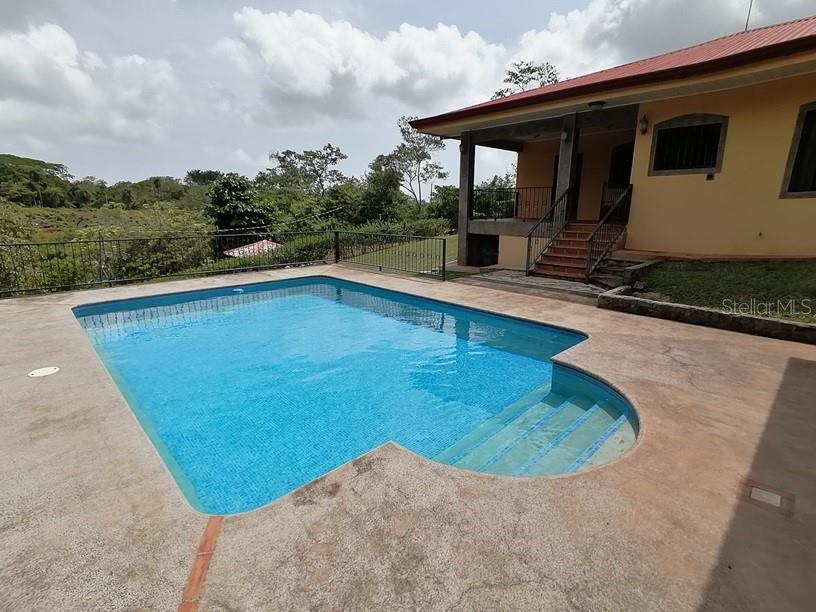 a view of a backyard with a tub