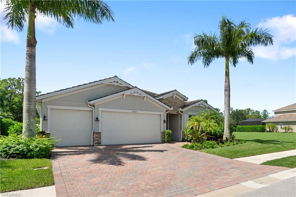 front view of house with a palm plants