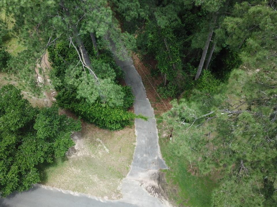 a view of a pathway both side of yard