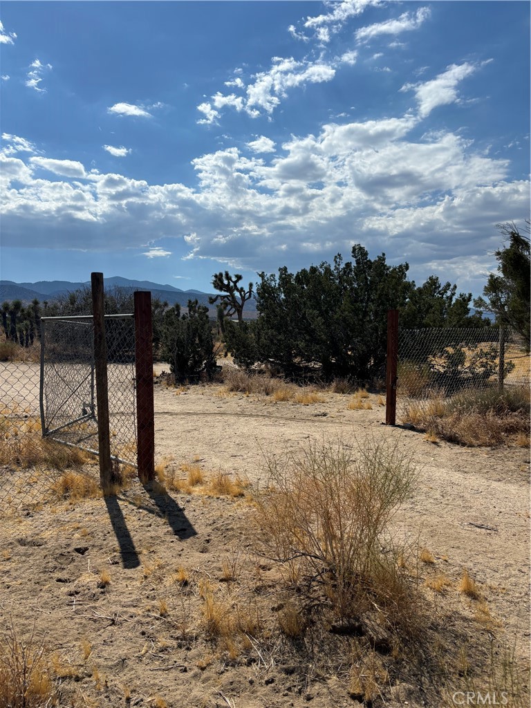 a view of a dry yard with wooden fence