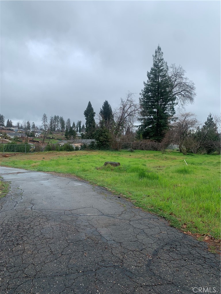 a view of a park with large trees