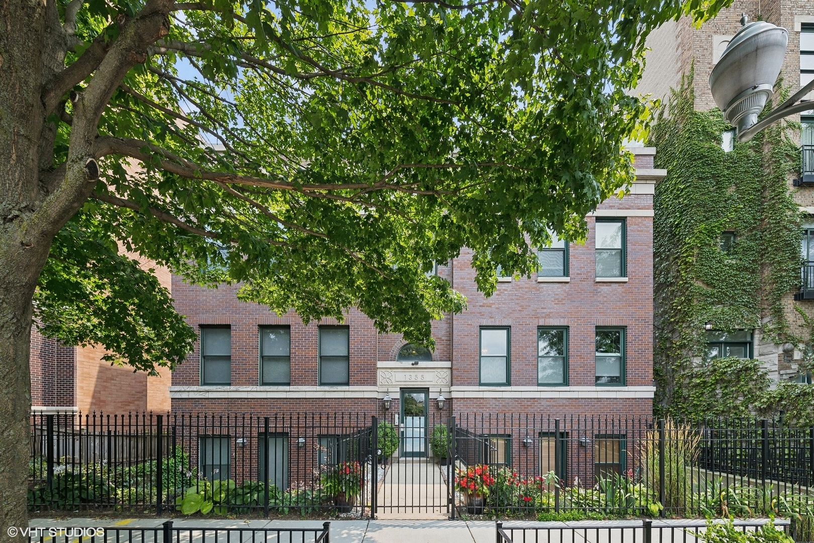 front view of house with a tree