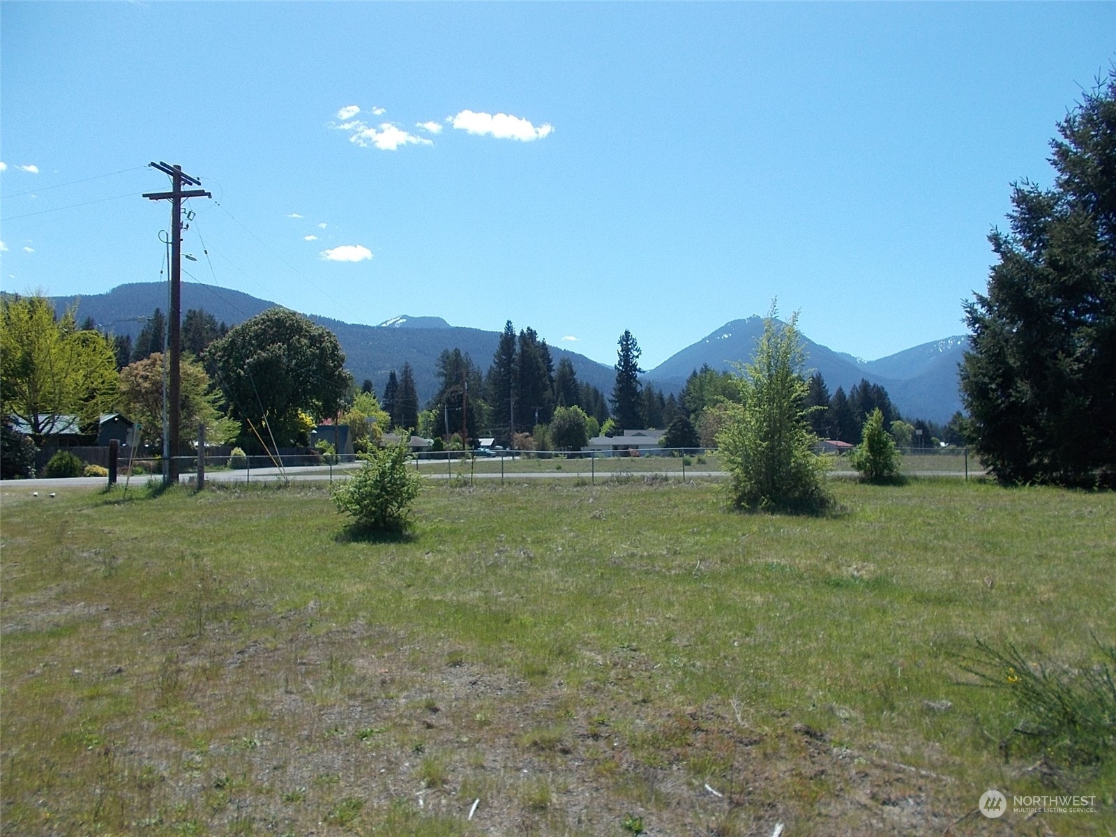 a view of a garden with a tree