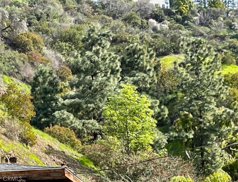 a view of a yard with a tree