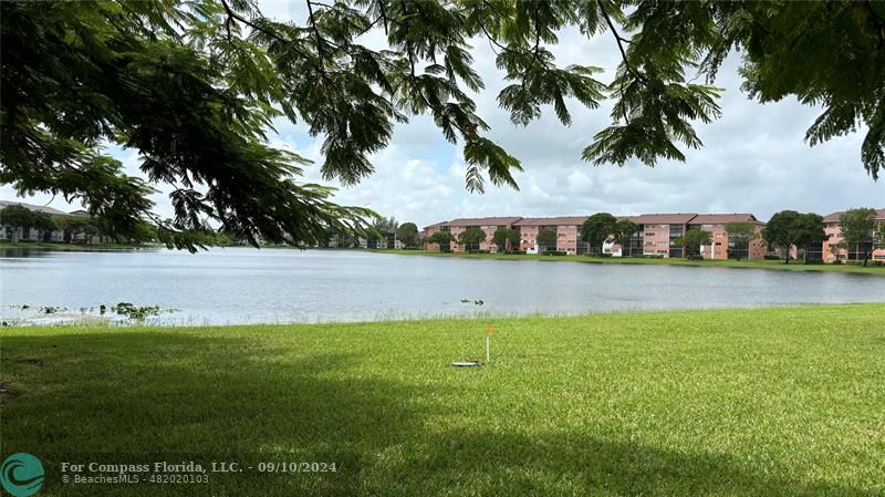 a view of swimming pool with a yard