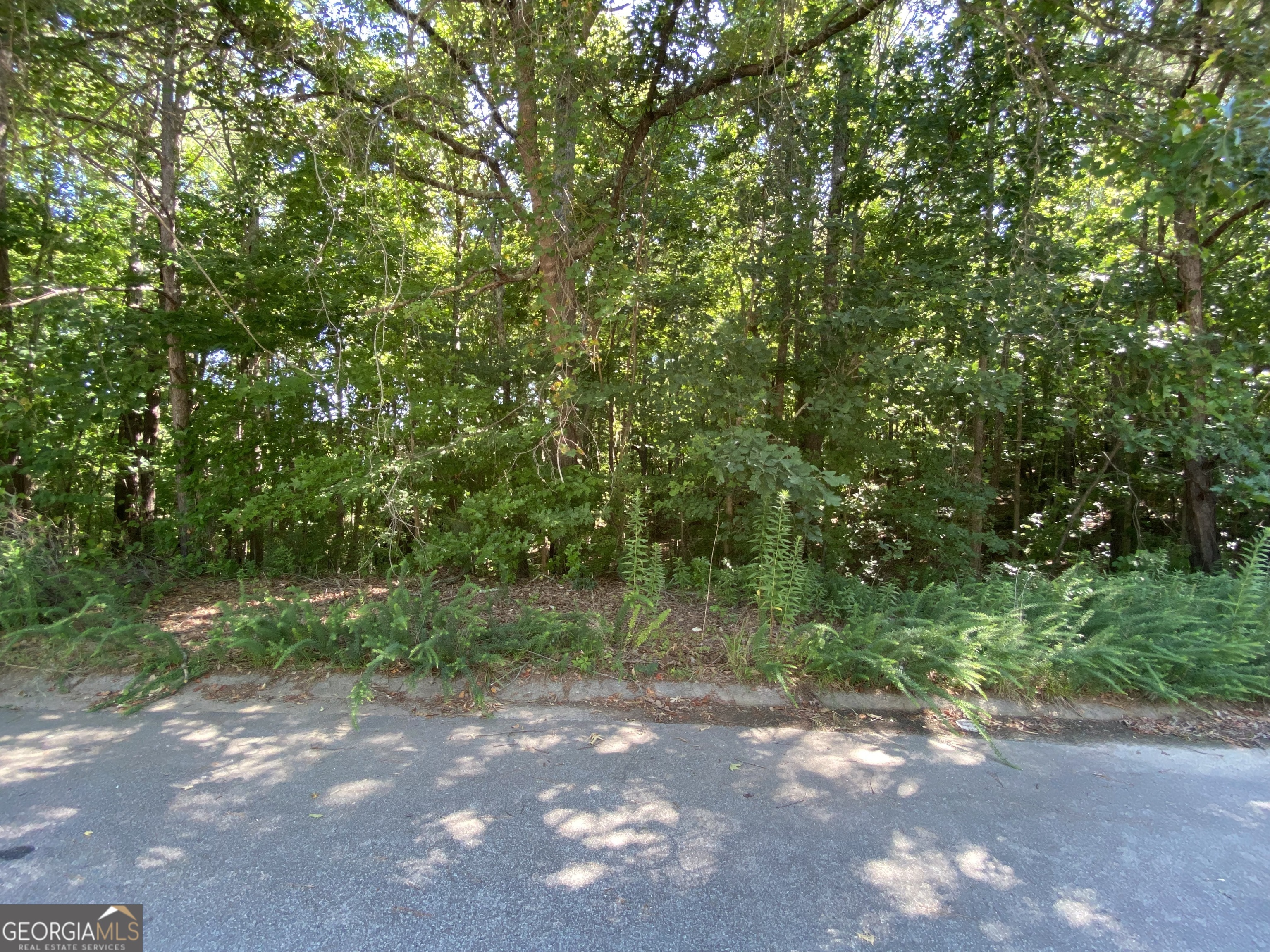 a view of a street with a trees