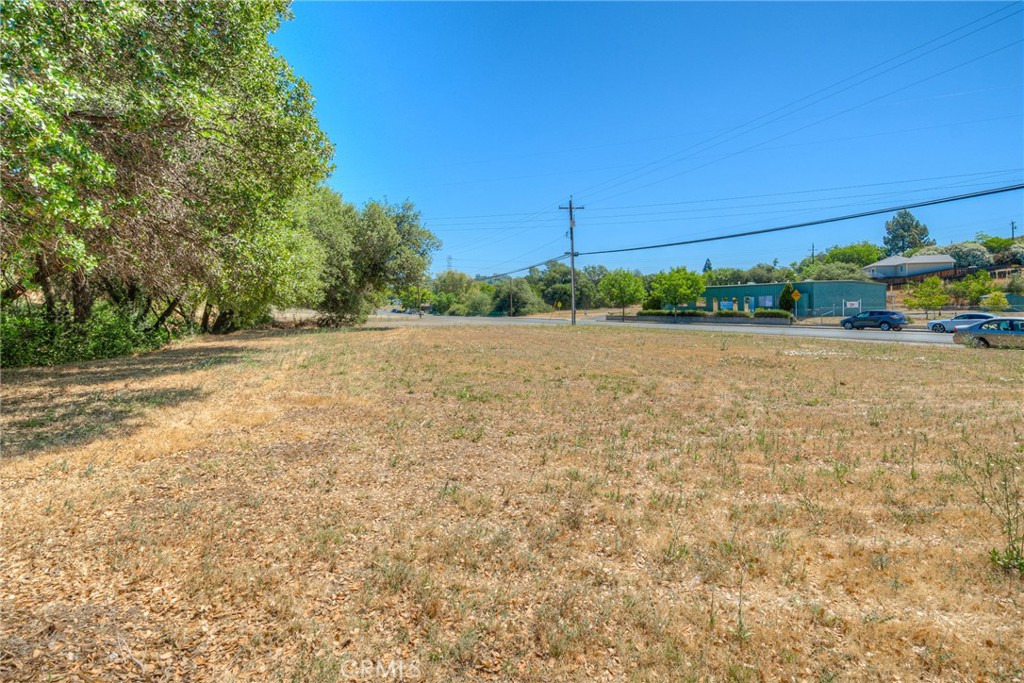 a view of a field with trees in the background