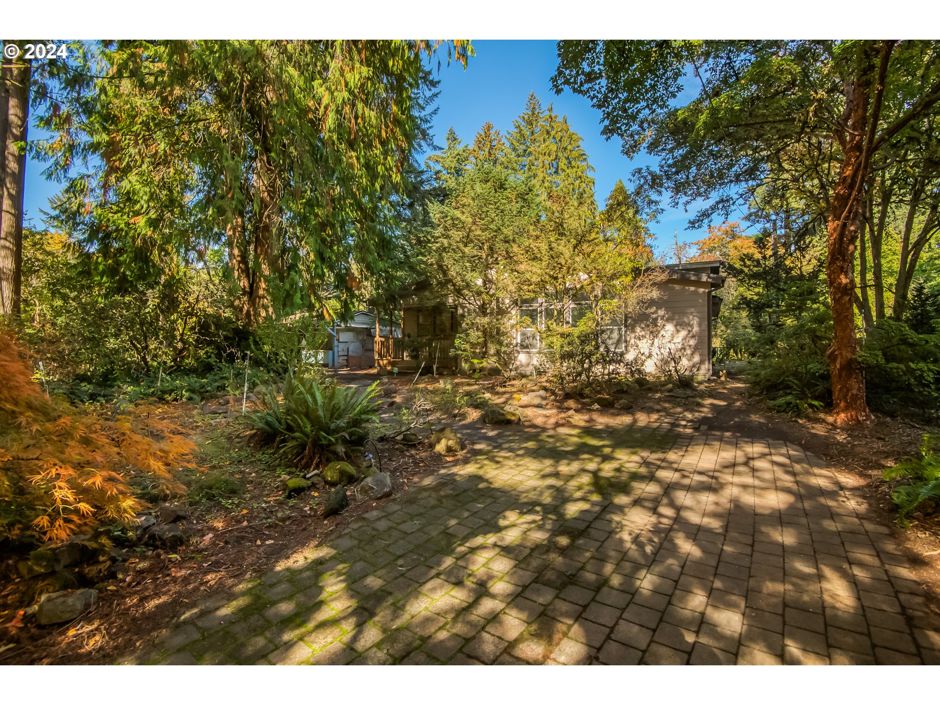 a view of outdoor space and a yard