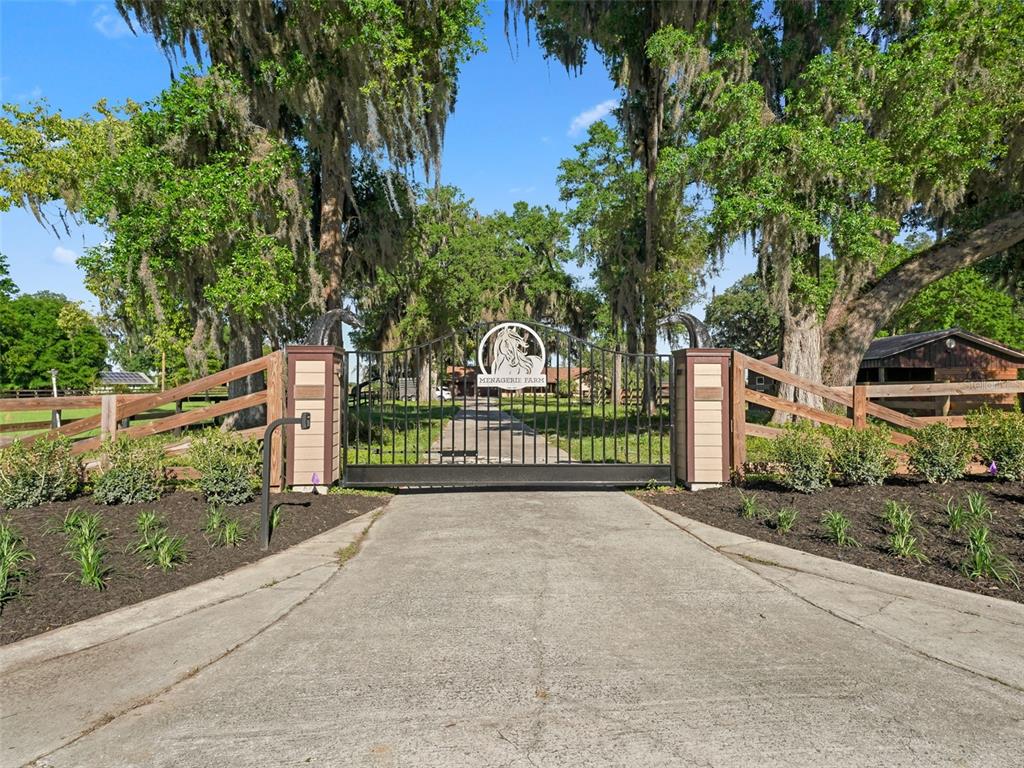 a view of a garden