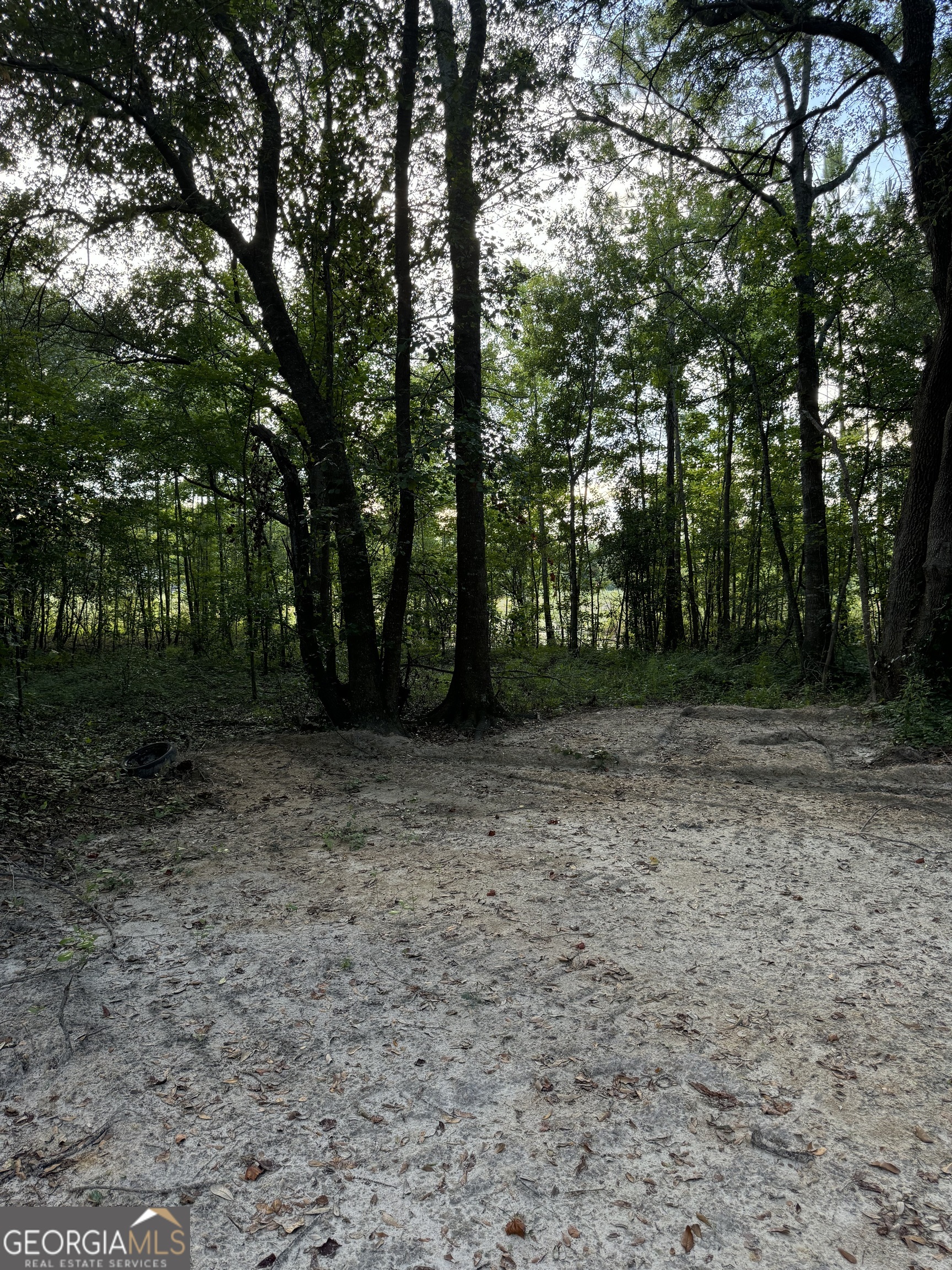 a view of outdoor space with trees