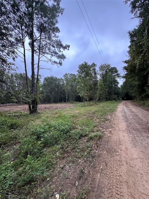 a view of a field with trees in background