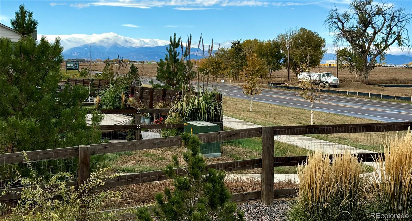 a view of a backyard