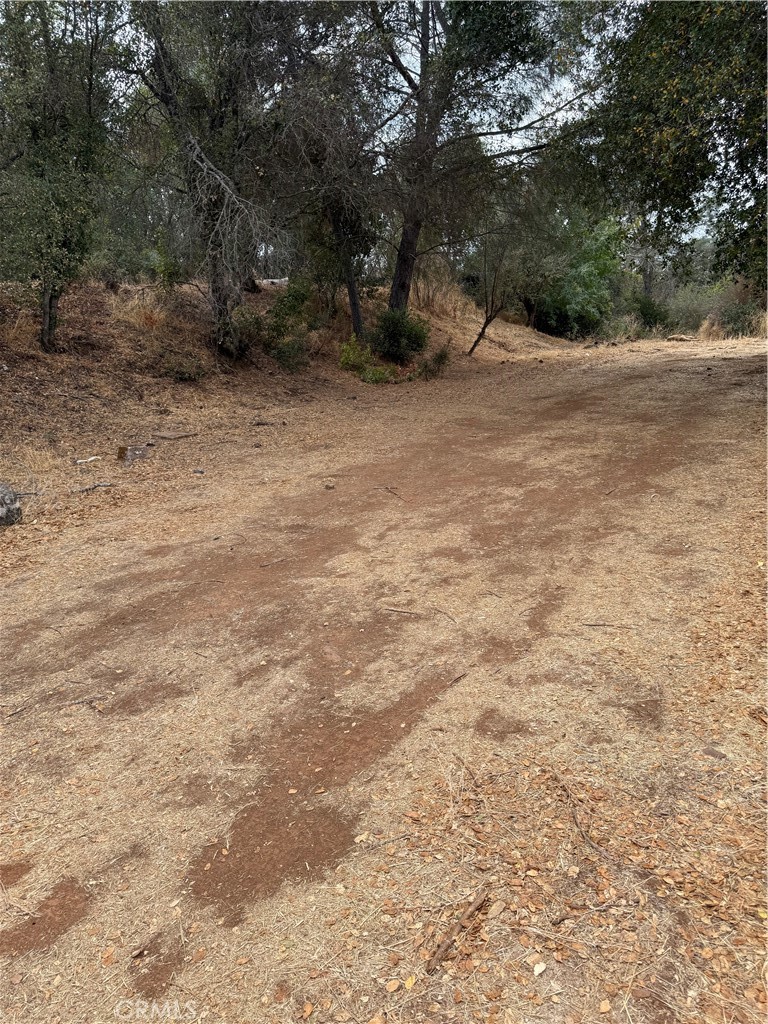 a view of empty space with trees