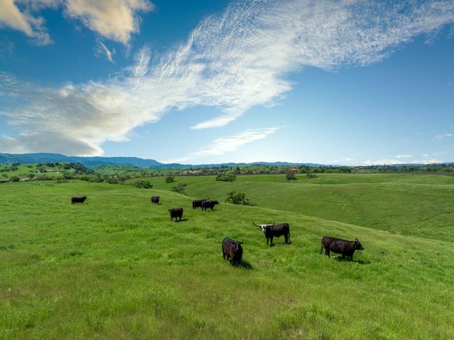 $5,685,000 | 1625 Alisos Road | Santa Ynez