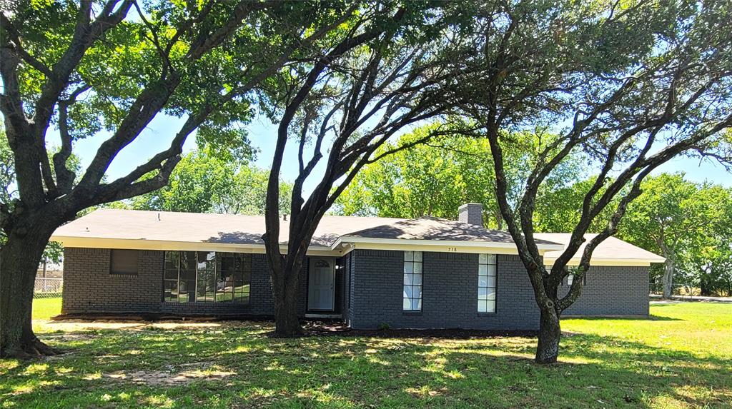 a view of a backyard with large trees and a large tree