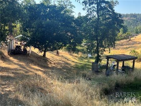 a view of a yard with a tree