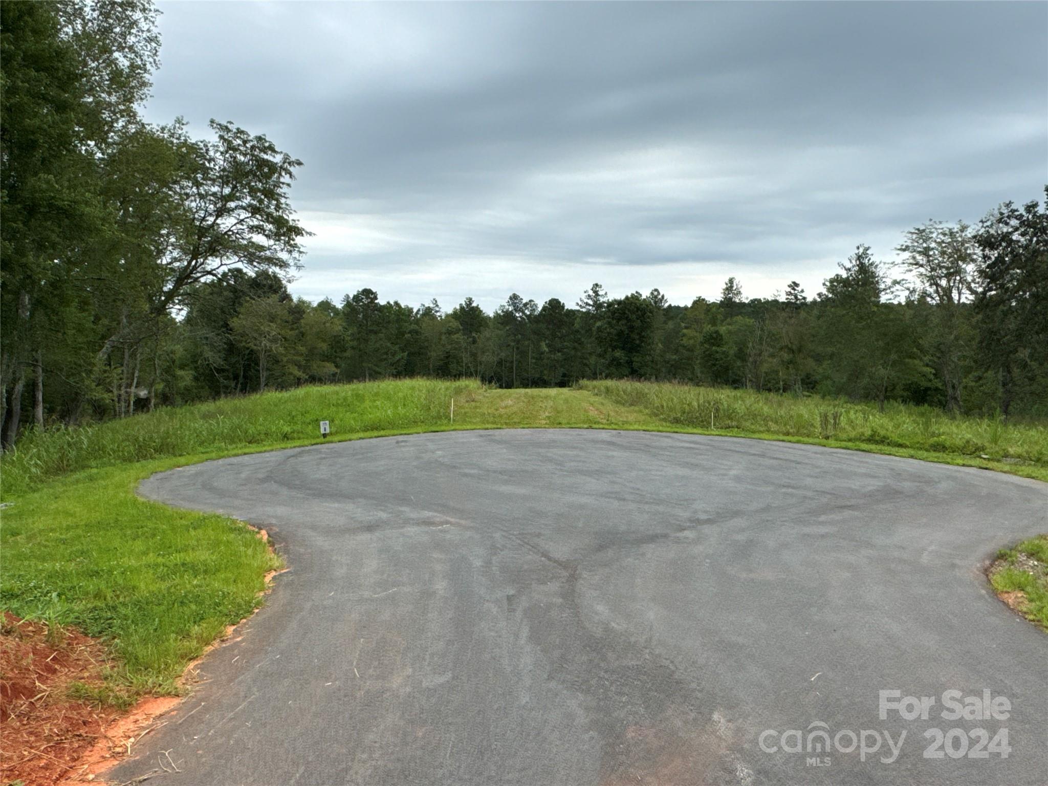 a view of a field with a big yard