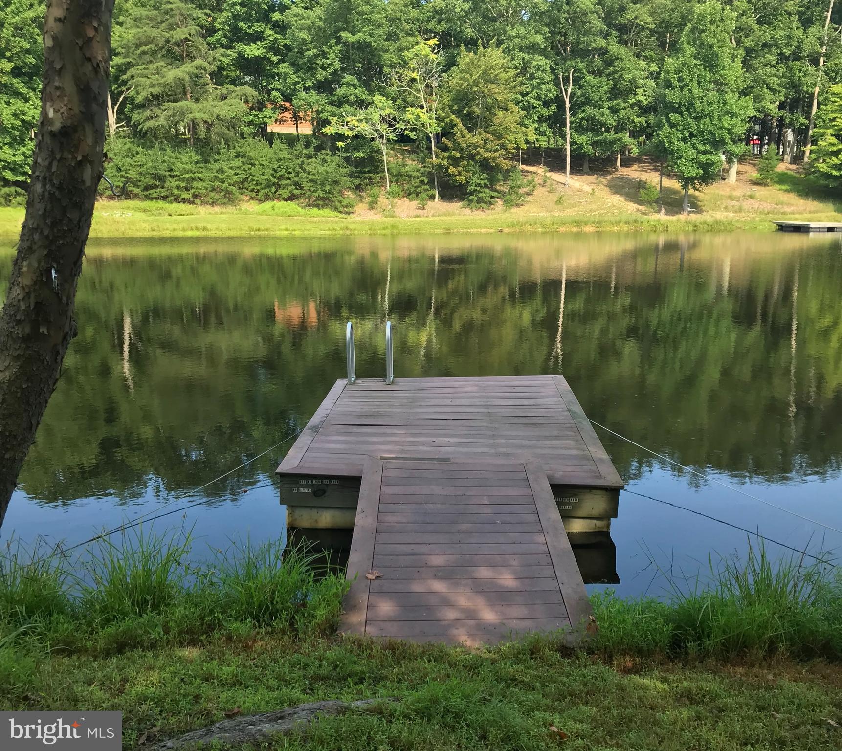 a view of a backyard with a lake view