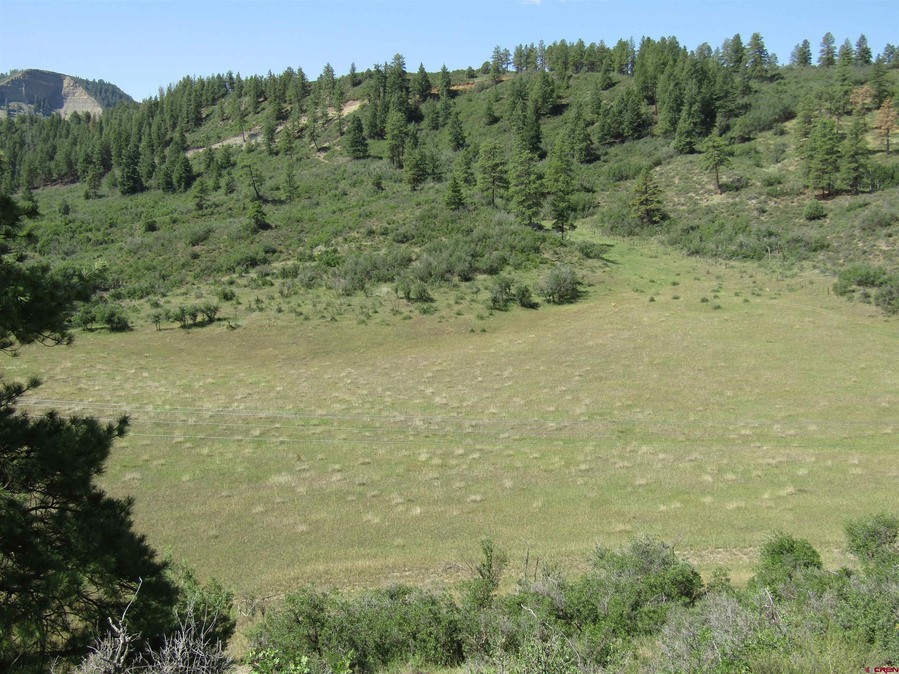 a view of a field with trees in the background