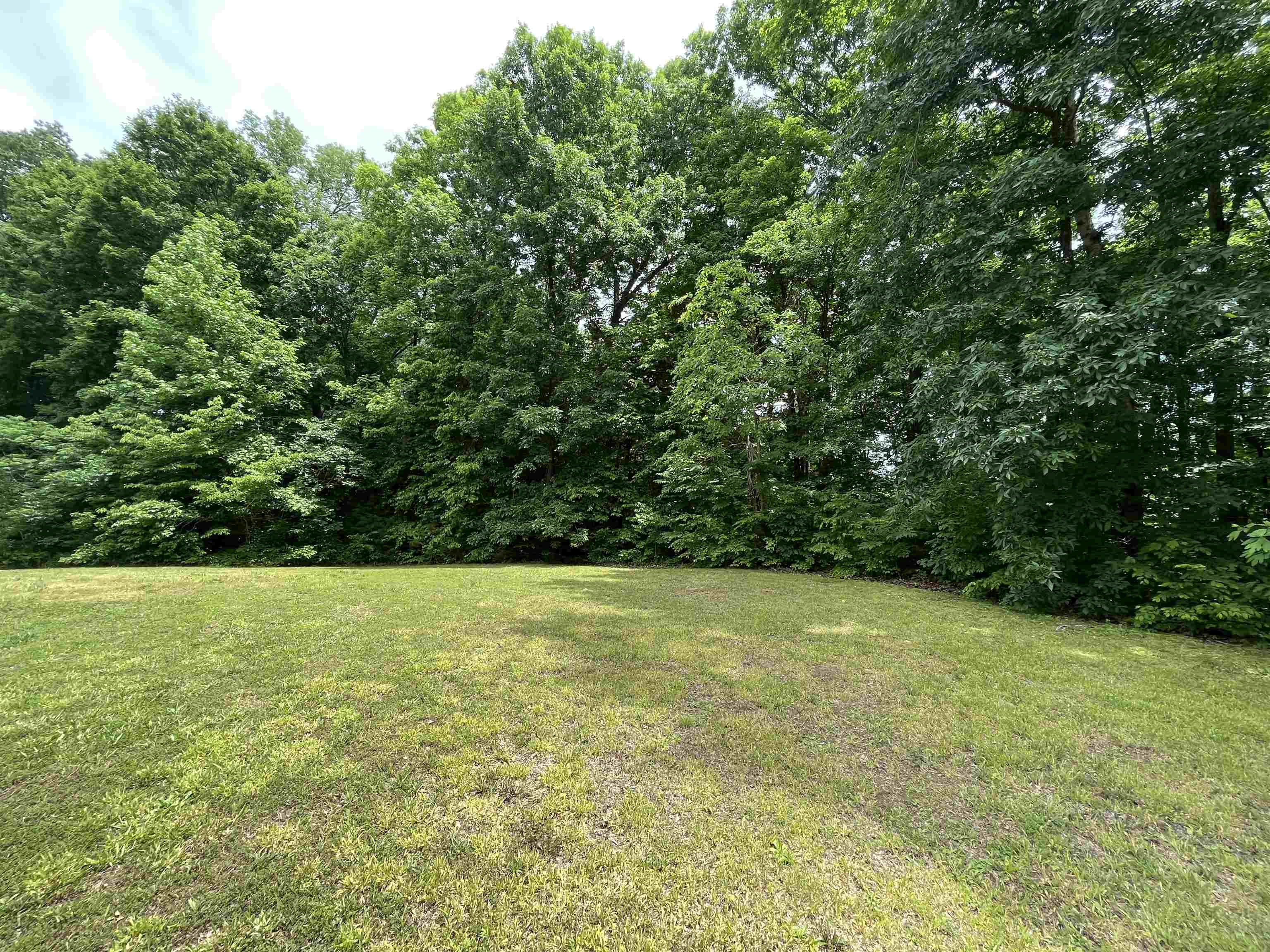 a view of a field with a trees in the background