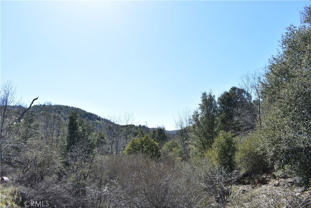 a view of a dry field