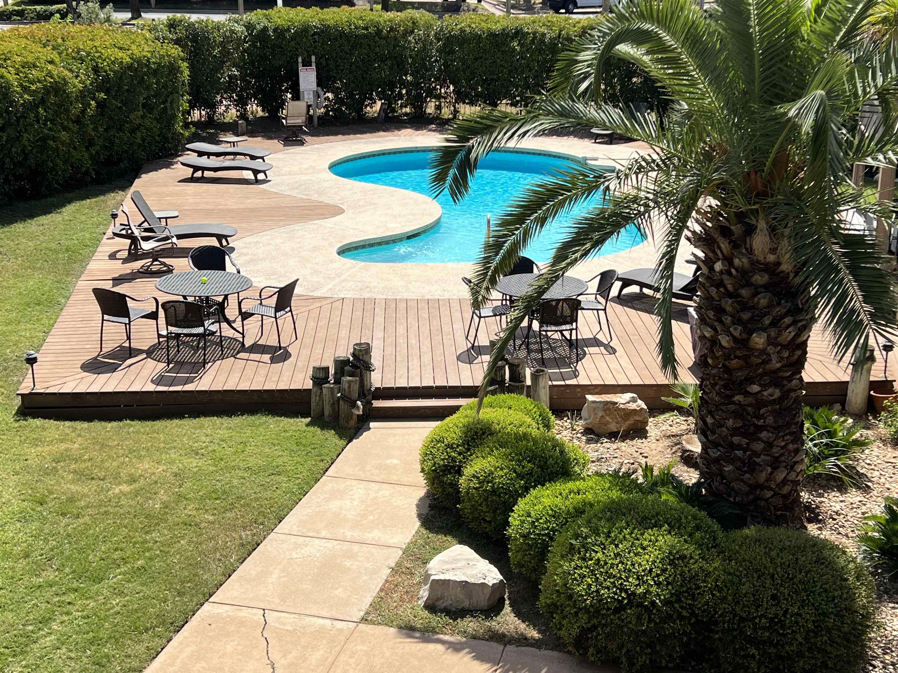 a view of a backyard with plants and patio