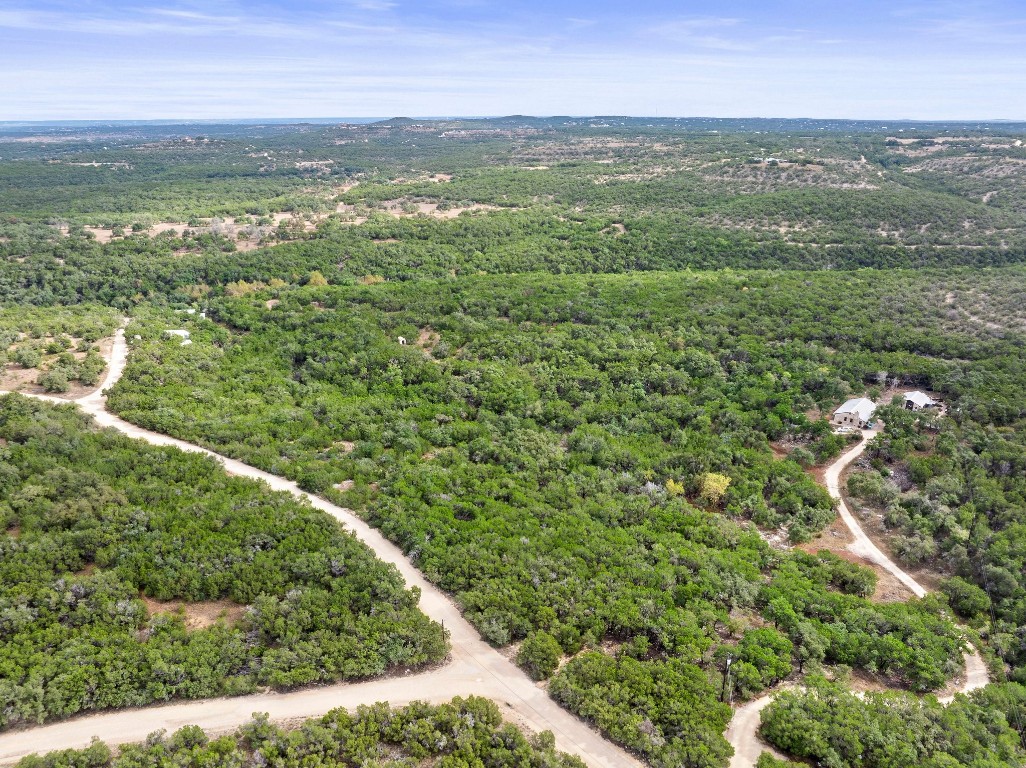 a view of a city with lush green forest