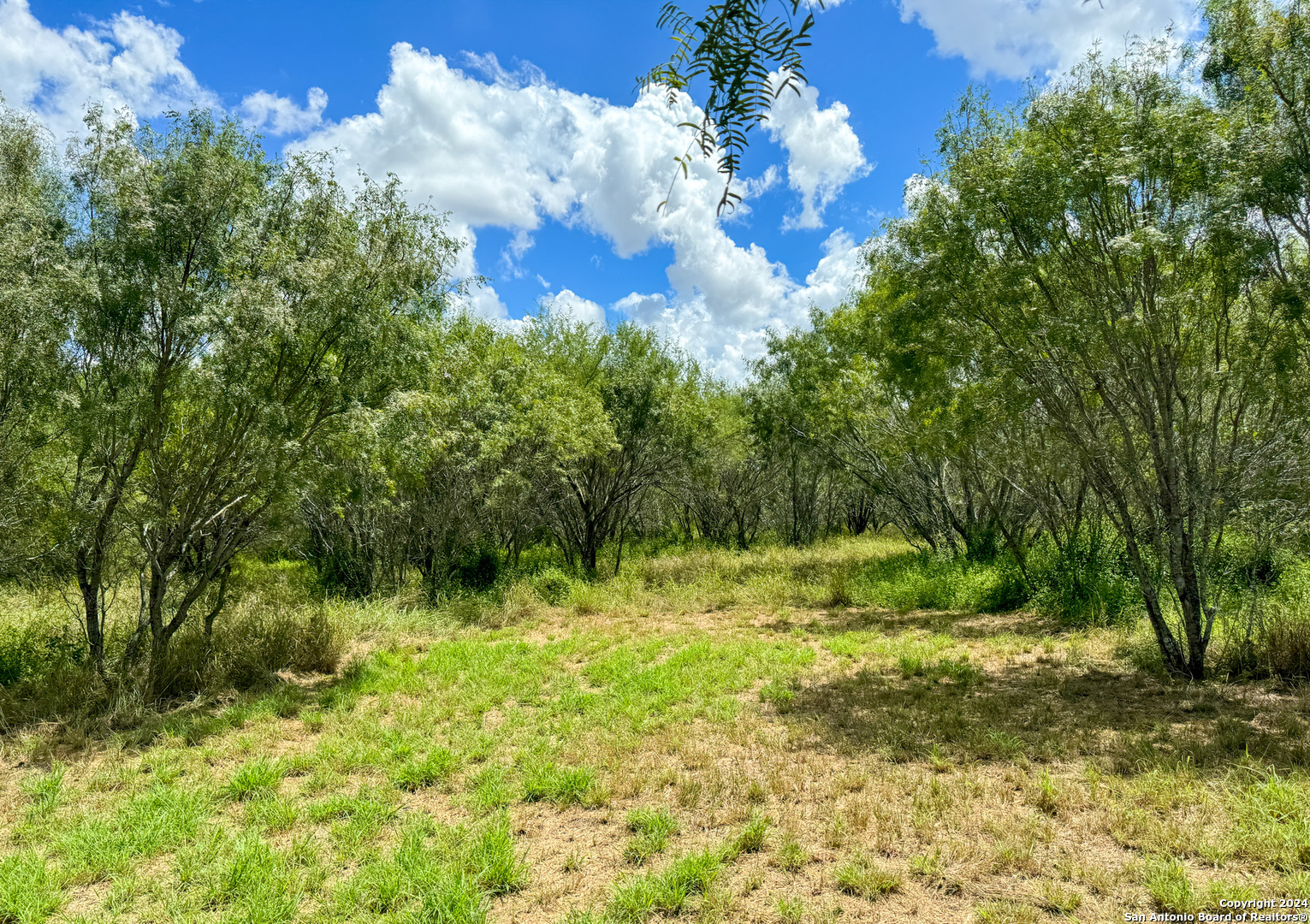 a view of outdoor space and yard