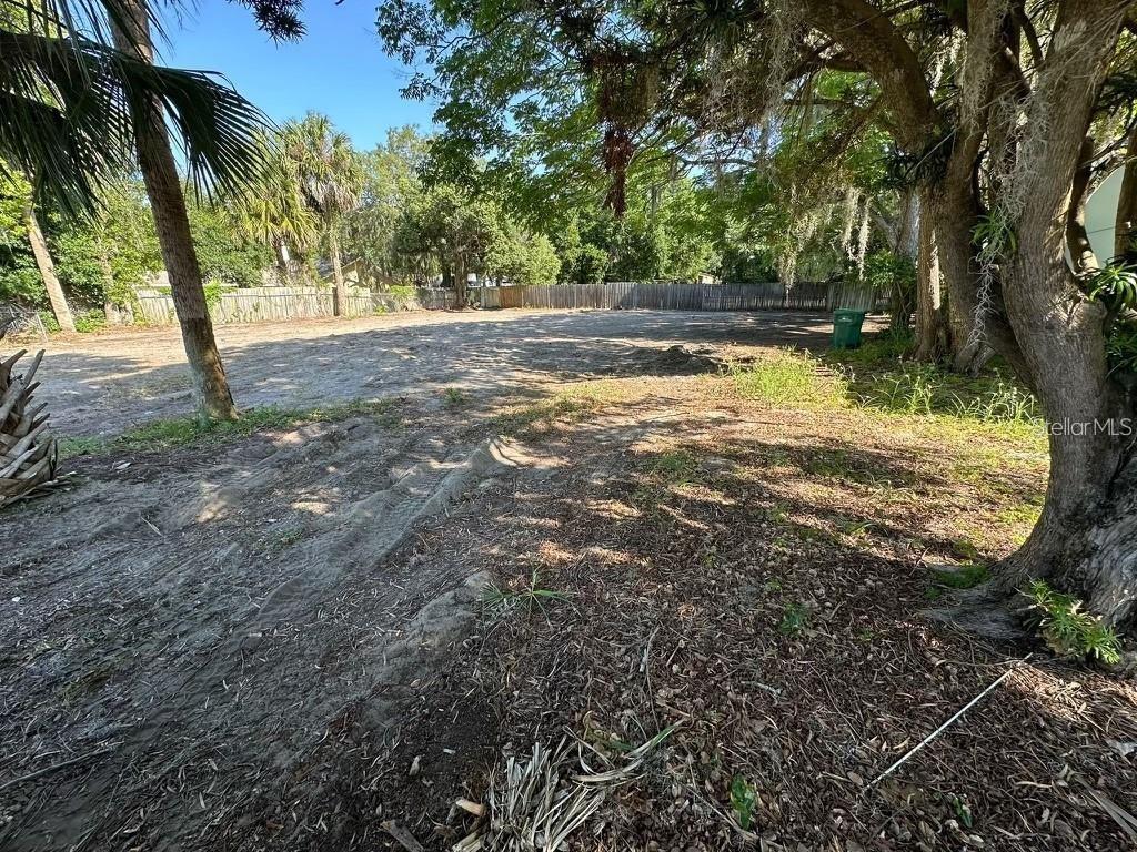 a view of a yard with a tree