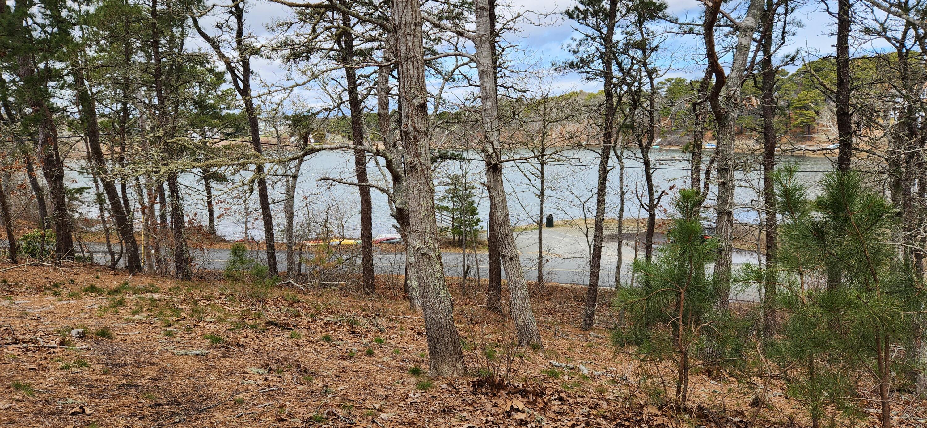 View of Taylor's Pond