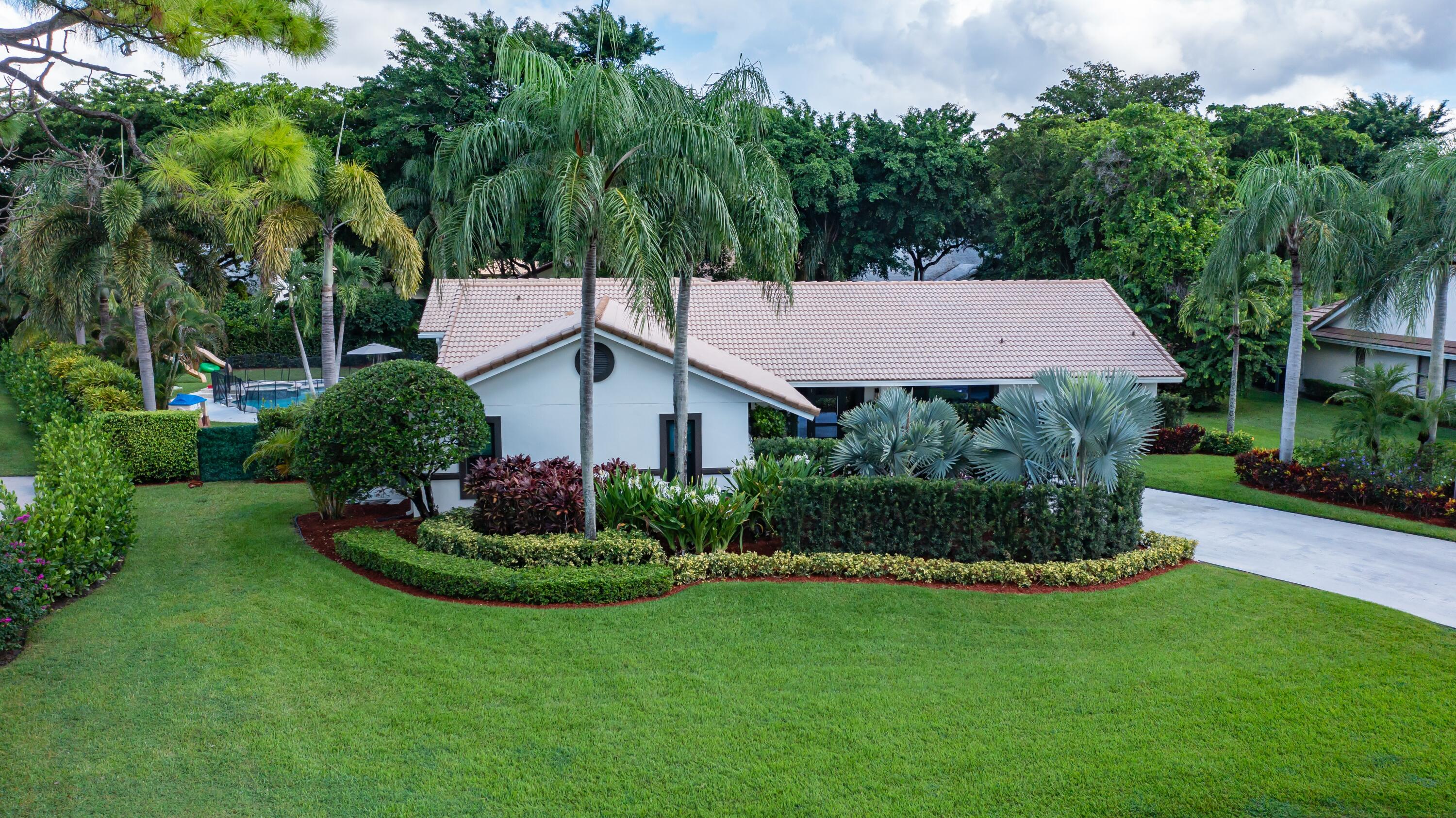 a view of a garden with potted plants and large trees