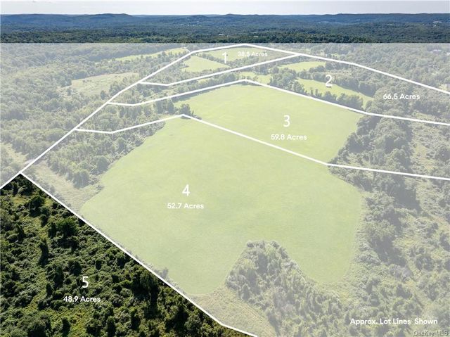 $7,000,000 | 234 Nichols Road | Peach Lake