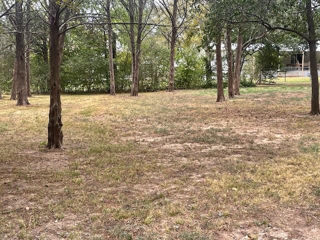 a view of backyard with tree