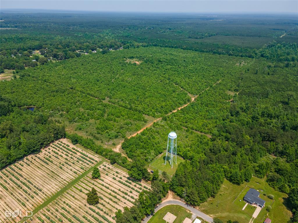 a view of a lush green space