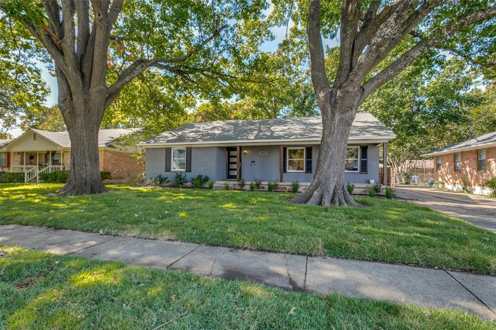 a view of a yard in front of a house with a large tree