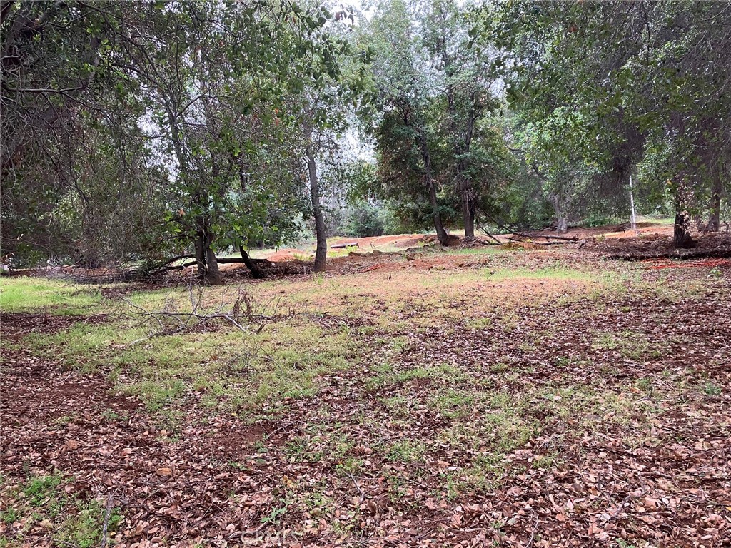 a view of a yard with a tree